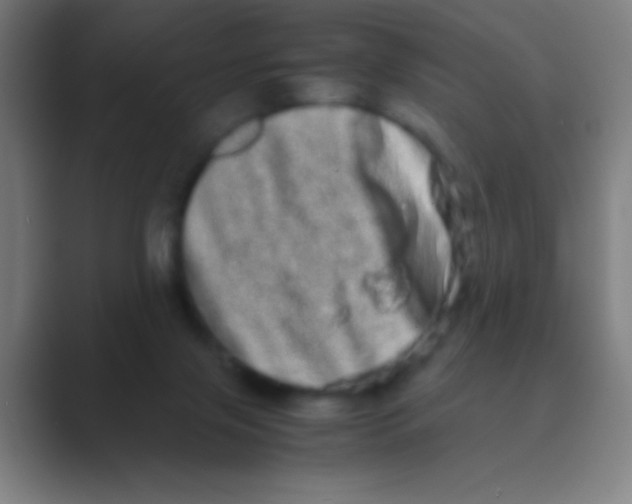 X0000088720071200706282112