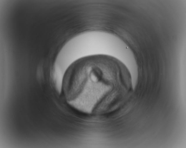 X0000088720072200706282112