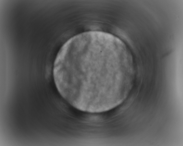 X0000088720073200706282112