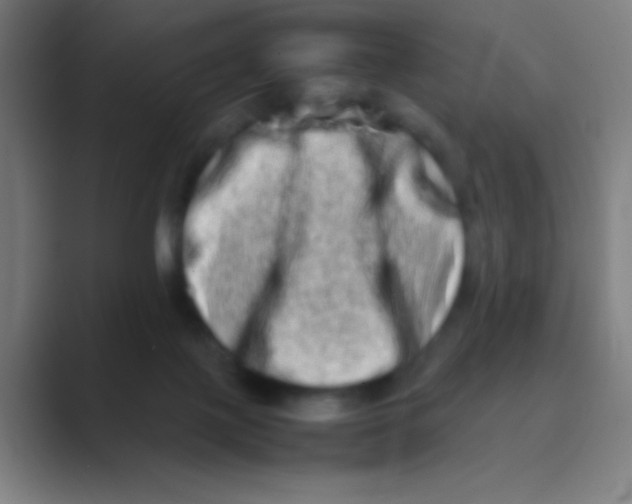 X0000088720075200706282112