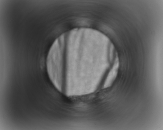 X0000088720077200706282112