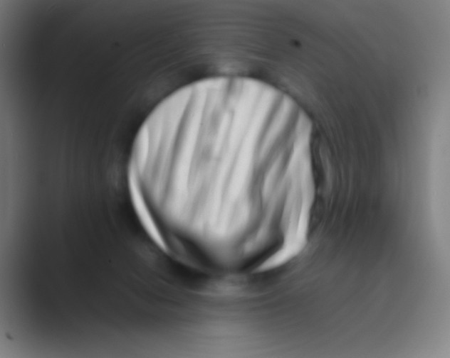 X0000088720078200706282112