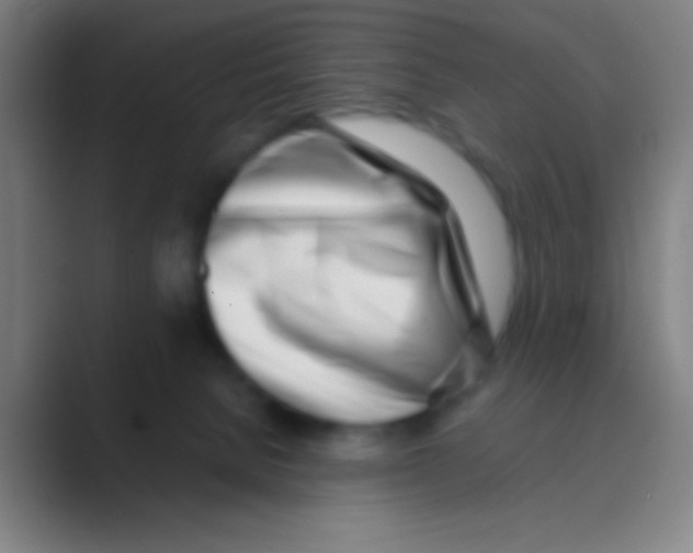 X0000088720080200706282112