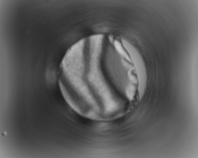 X0000088720081200706282112