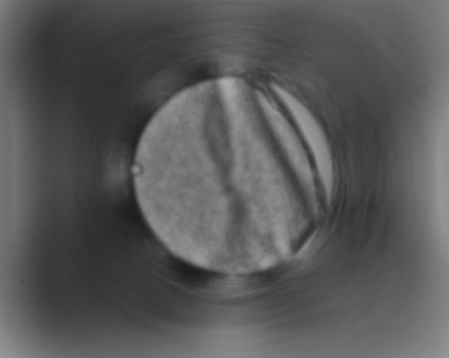 X0000088720082200706282112