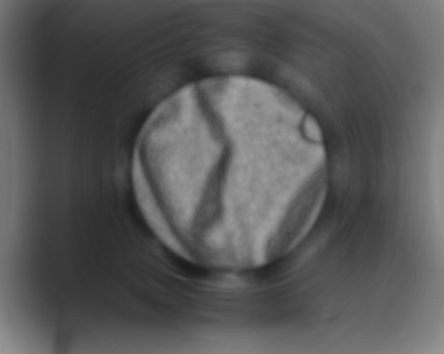 X0000088720083200706282112