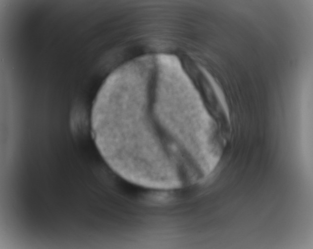 X0000088720086200706282112