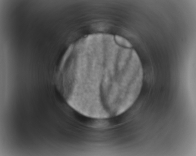 X0000088720087200706282112