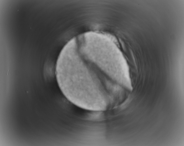 X0000088720090200706282112