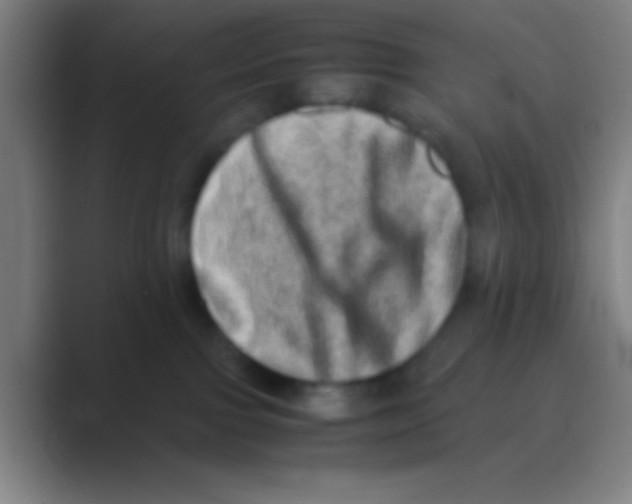 X0000088720091200706282112