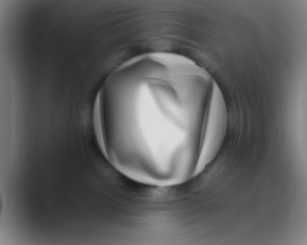 X0000088720092200706282112