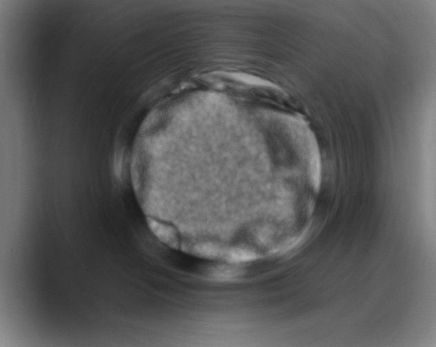 X0000088720094200706282112