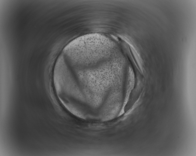 X0000088720097200706282112