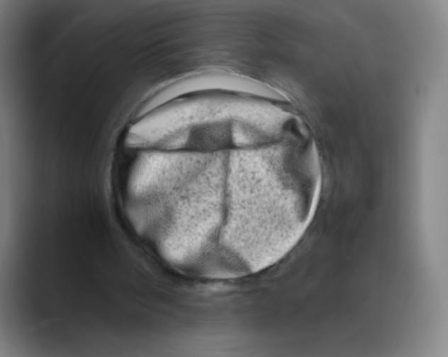 X0000088720098200706282112