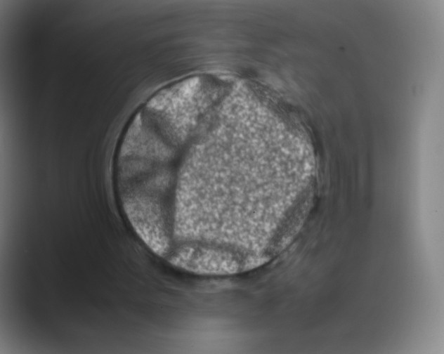 X0000088720099200706282112