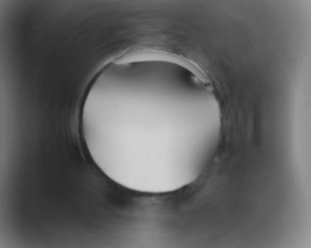 X0000088720100200706282112