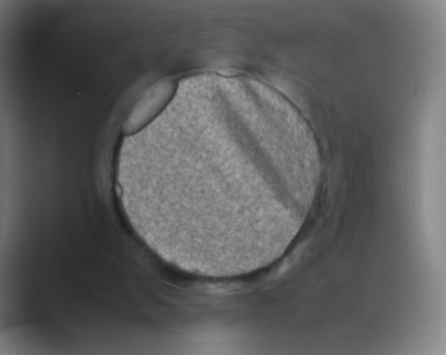 X0000088720103200706282112