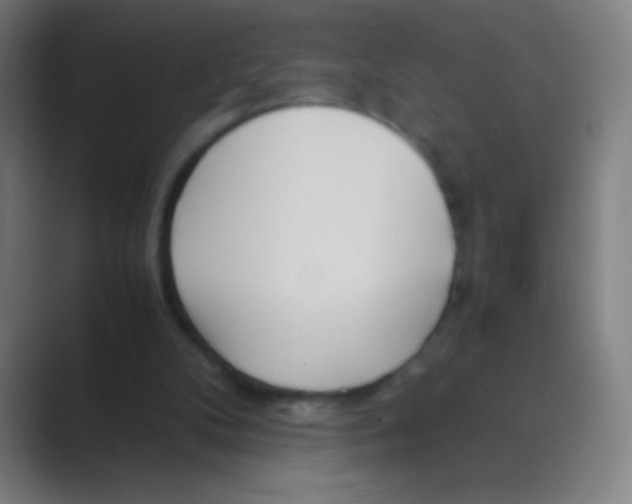 X0000088720104200706282112