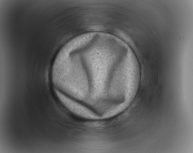 X0000088720106200706282112