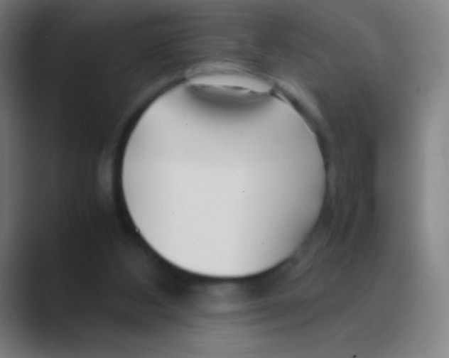 X0000088720108200706282112