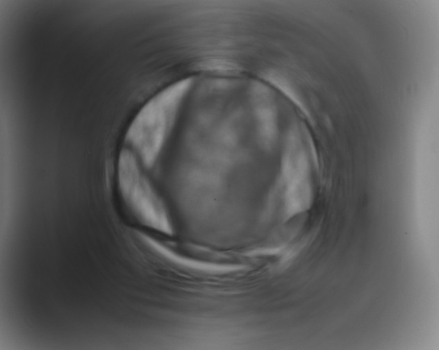 X0000088720109200706282112