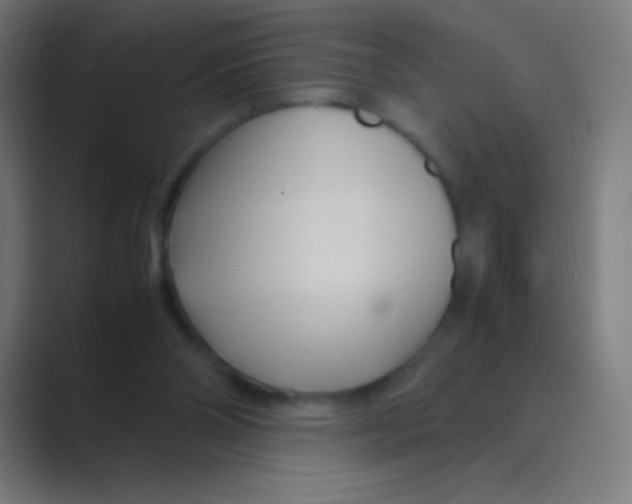 X0000088720110200706282112