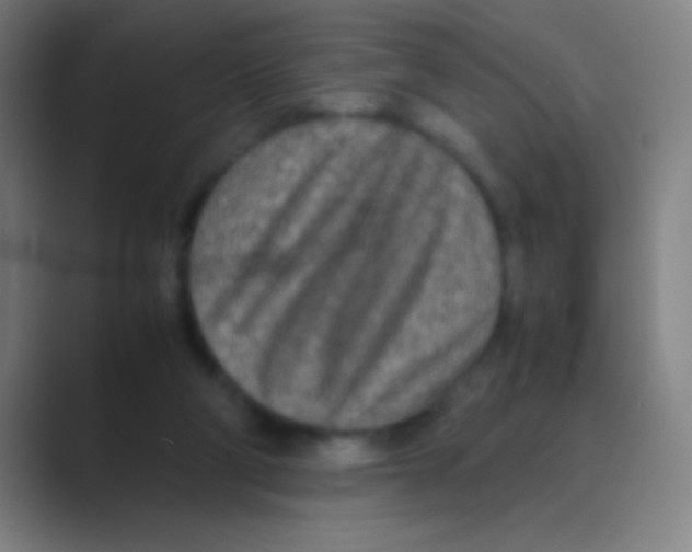 X0000088720114200706282111