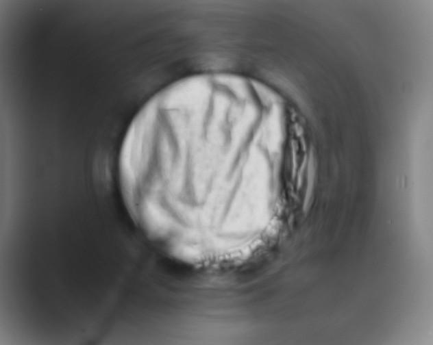 X0000088720115200706282111