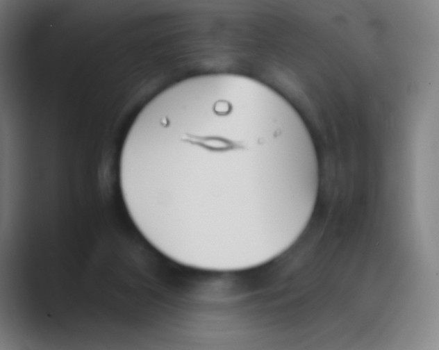 X0000088720116200706282111