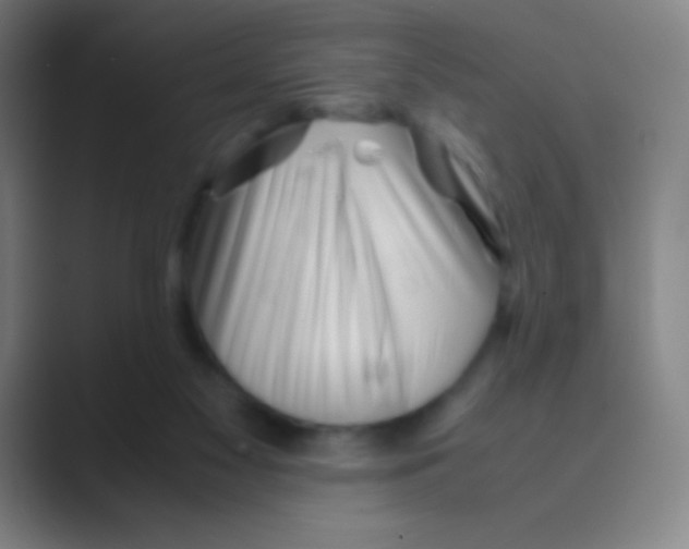 X0000088720117200706282111