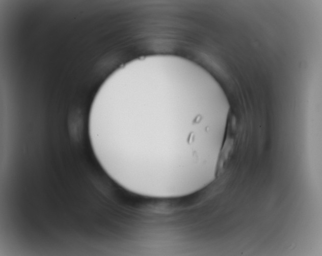 X0000088720120200706282111