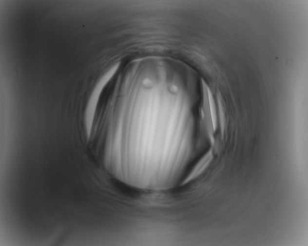 X0000088720125200706282111