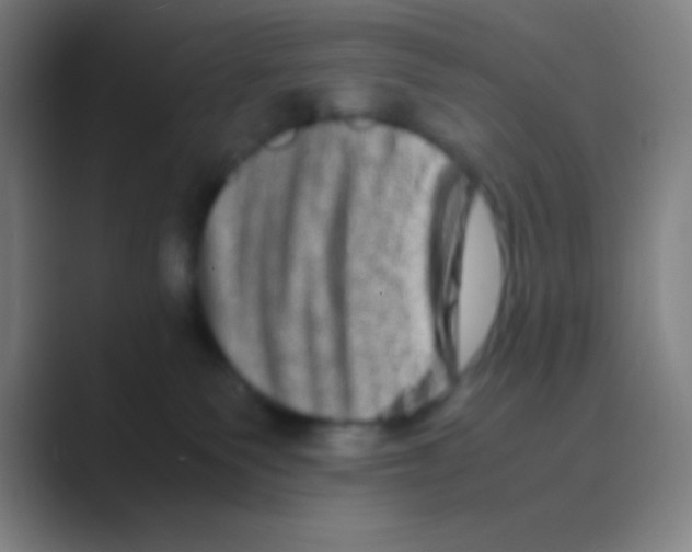 X0000088720135200706282111