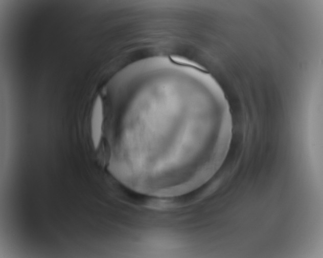 X0000088720139200706282111