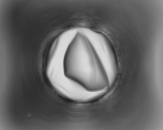 X0000088720149200706282111