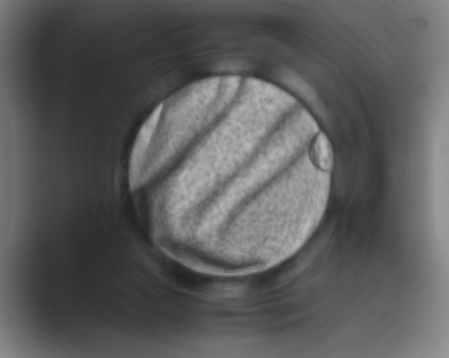 X0000088720161200706282111