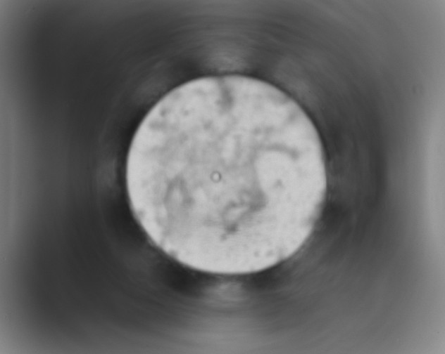 X0000088720162200706282111