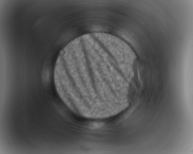 X0000088720165200706282111