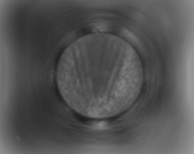 X0000088720169200706282111