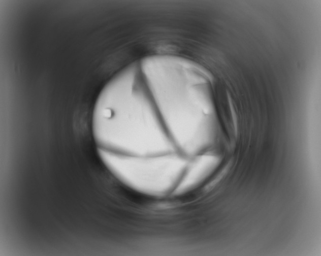 X0000088720175200706282111