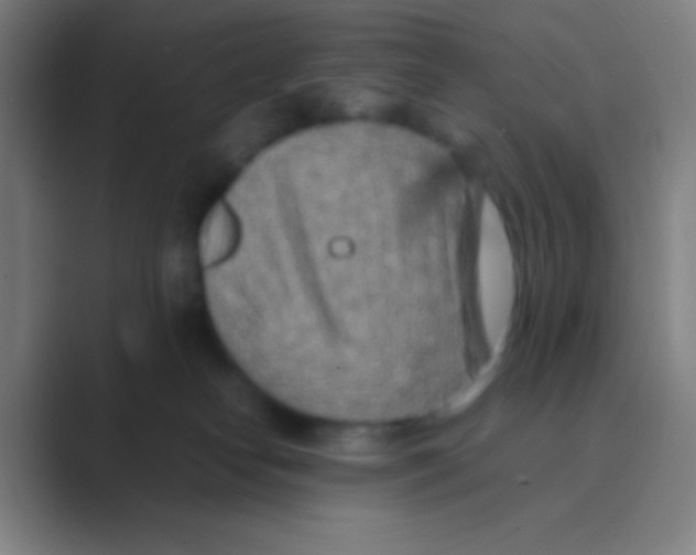 X0000088720182200706282111