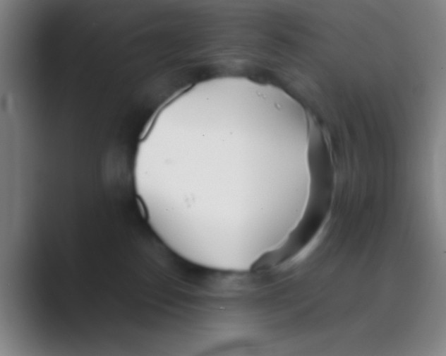 X0000088720186200706282111