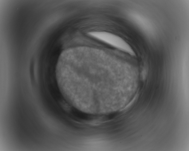 X0000088720191200706282111