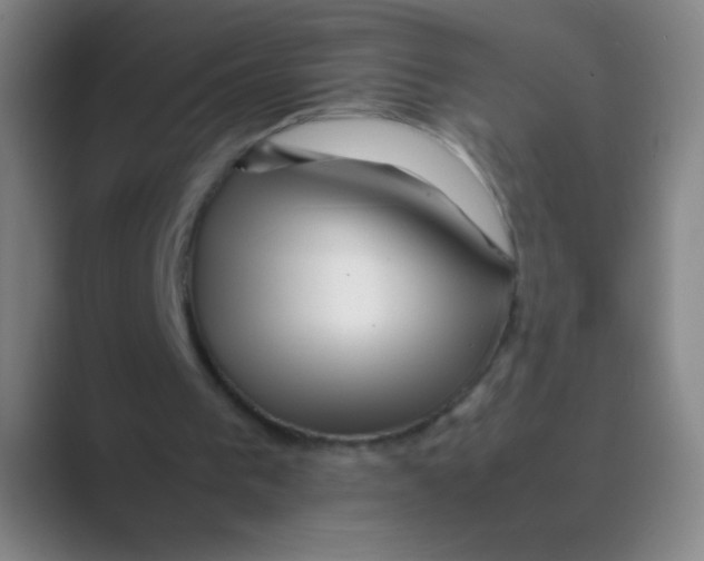 X0000088720193200706282110