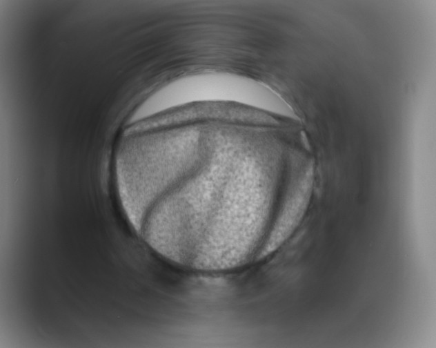 X0000088720194200706282110