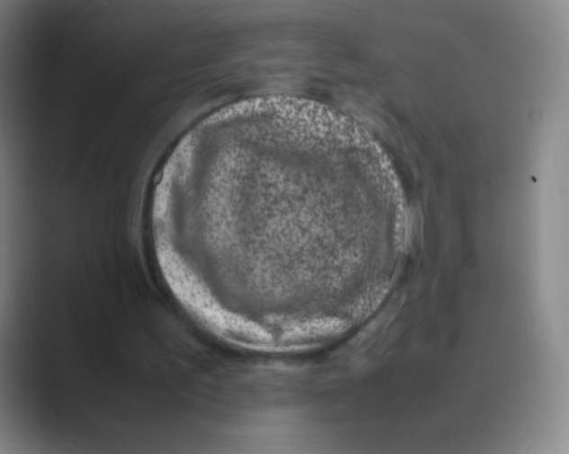 X0000088720195200706282110