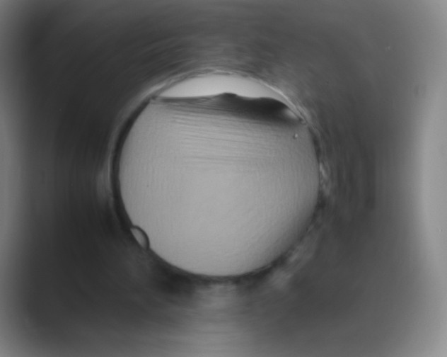 X0000088720196200706282110