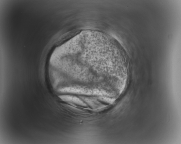 X0000088720199200706282110