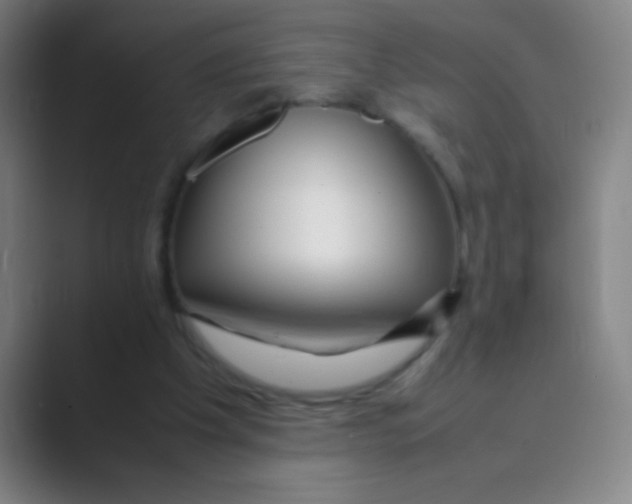 X0000088720201200706282110