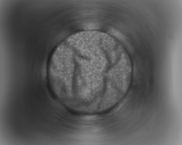 X0000088720202200706282110